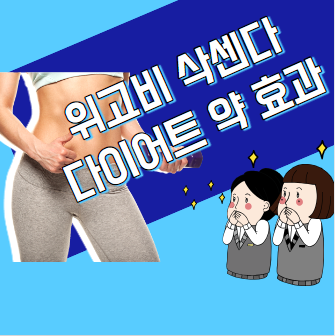 비만치료제 위고비 삭센다 다이어트약 효과