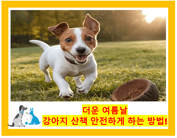 강아지 산책