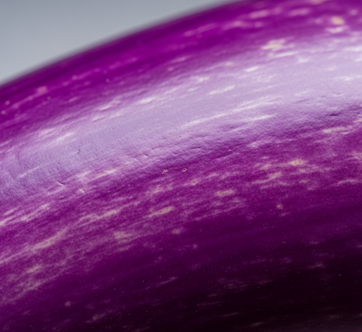 보라색 가지 껍질