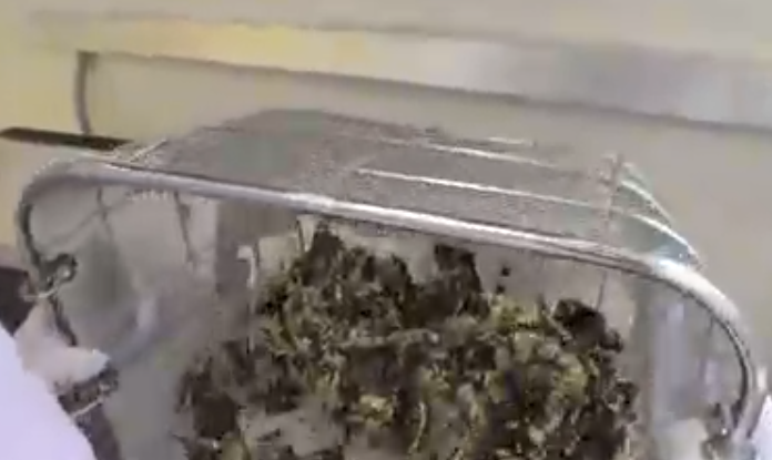 생생정보 김부각 | 느린먹거리 김부각 위치 및 구매처 총정리