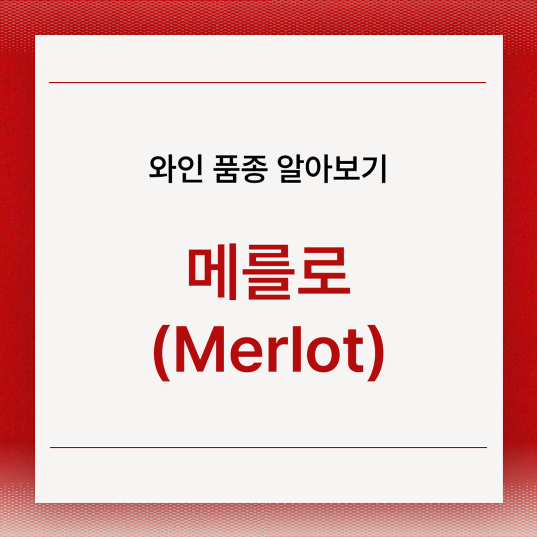 메를로(Merlot)