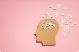 포스파티딜세린의 효능 부작용 작용기전