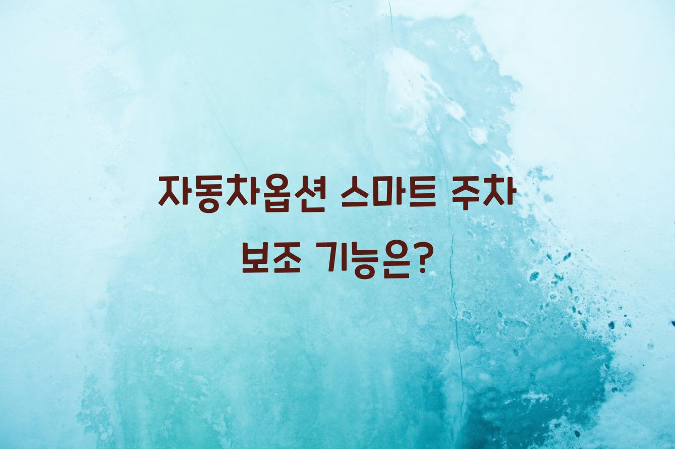 자동차옵션