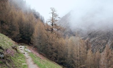 부부 같이 있으면 뇌 활동 일치한다 내가 직접 모아본 정보 알아보기