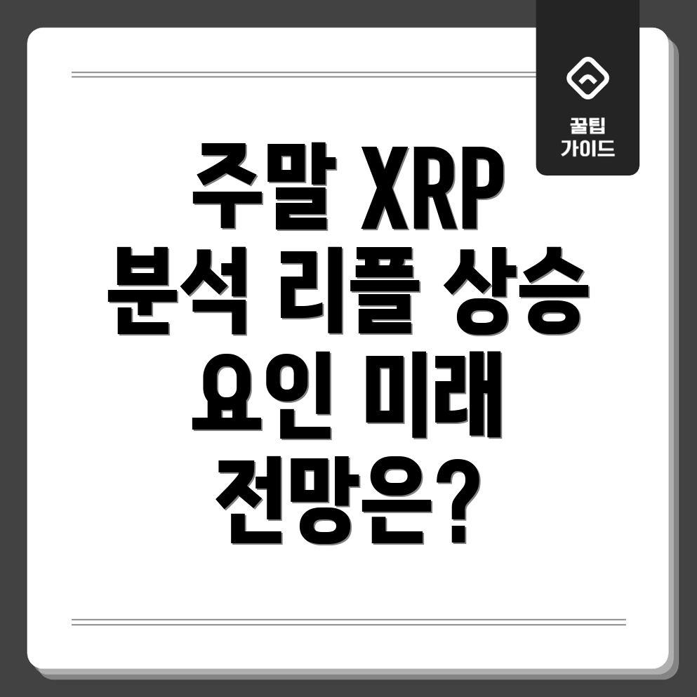 리플 시세