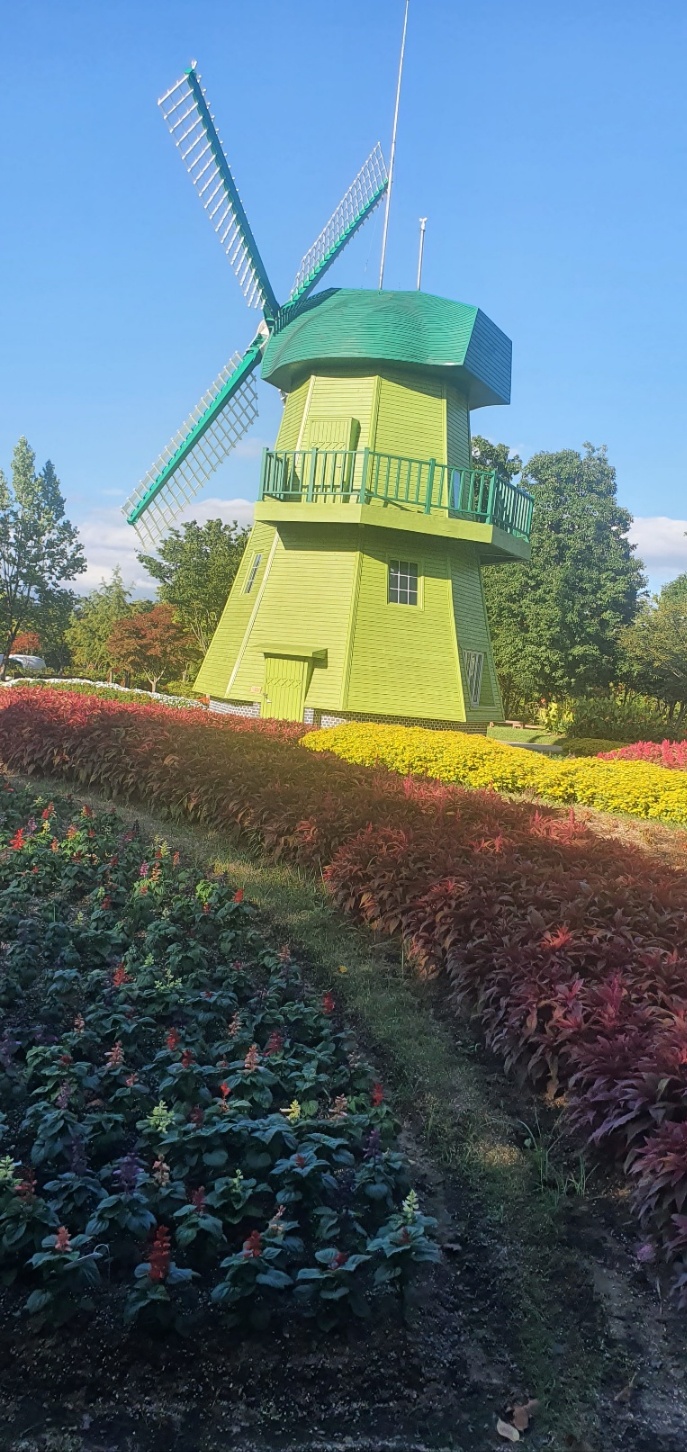 2026 수능 일정표