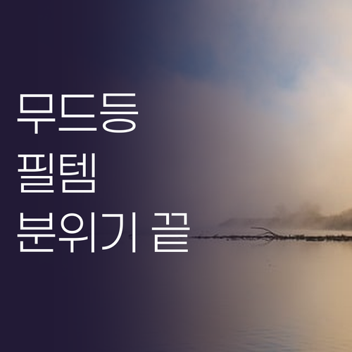 코드 없이 자유롭게! PYHO 무선 ..
