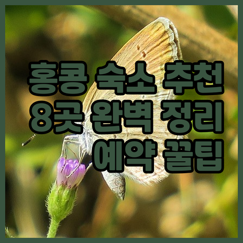 홍콩 숙소 예약 고민 끝 최고의 선택