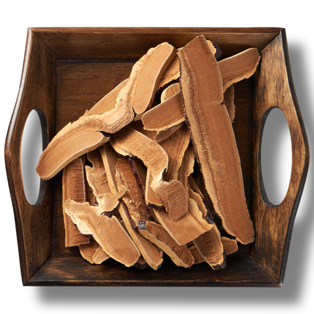 차가버섯과 관련된 사진입니다.