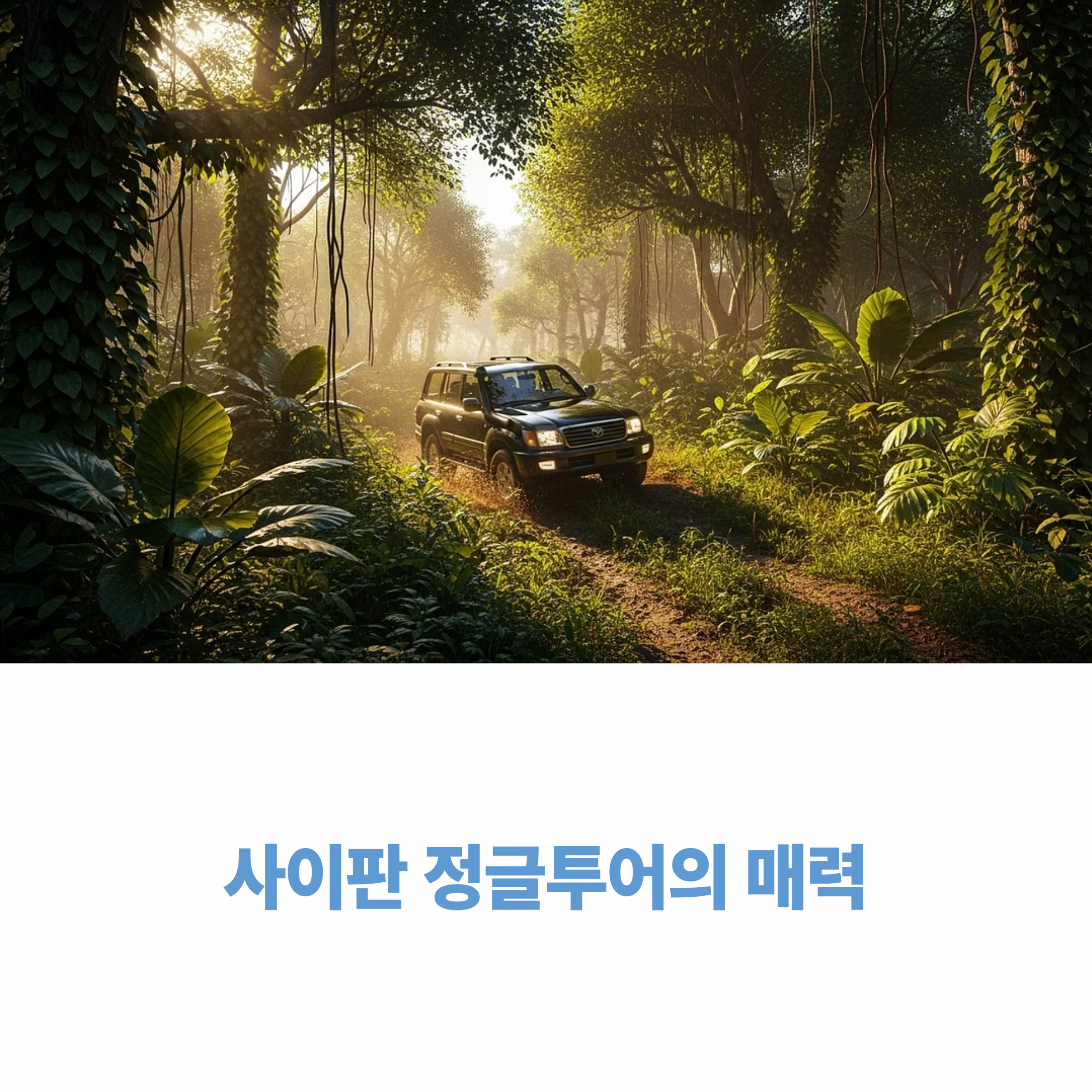 사이판 정글투어의 매력