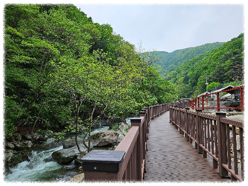산책로