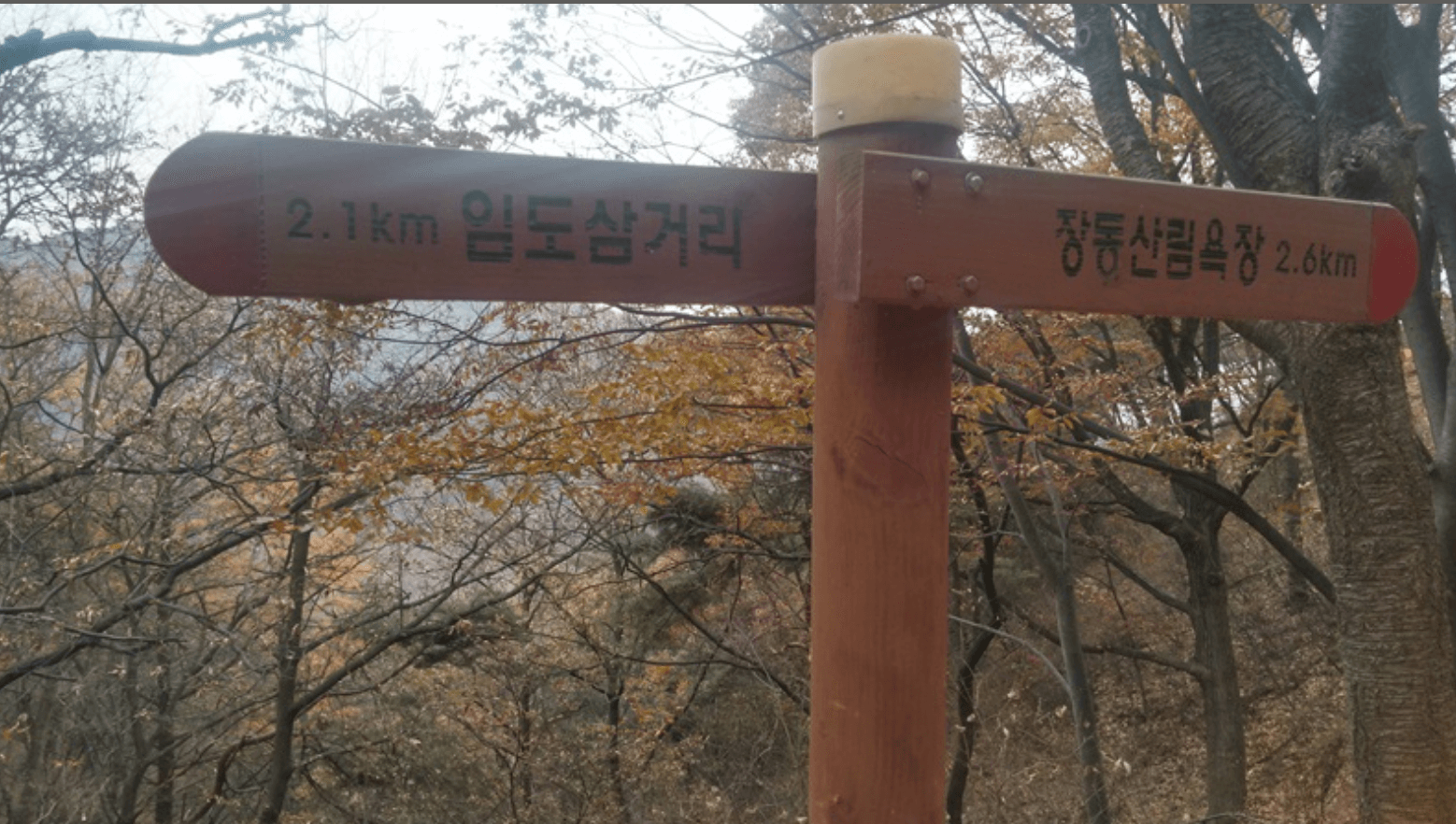 계족산 황토길(황톳길)