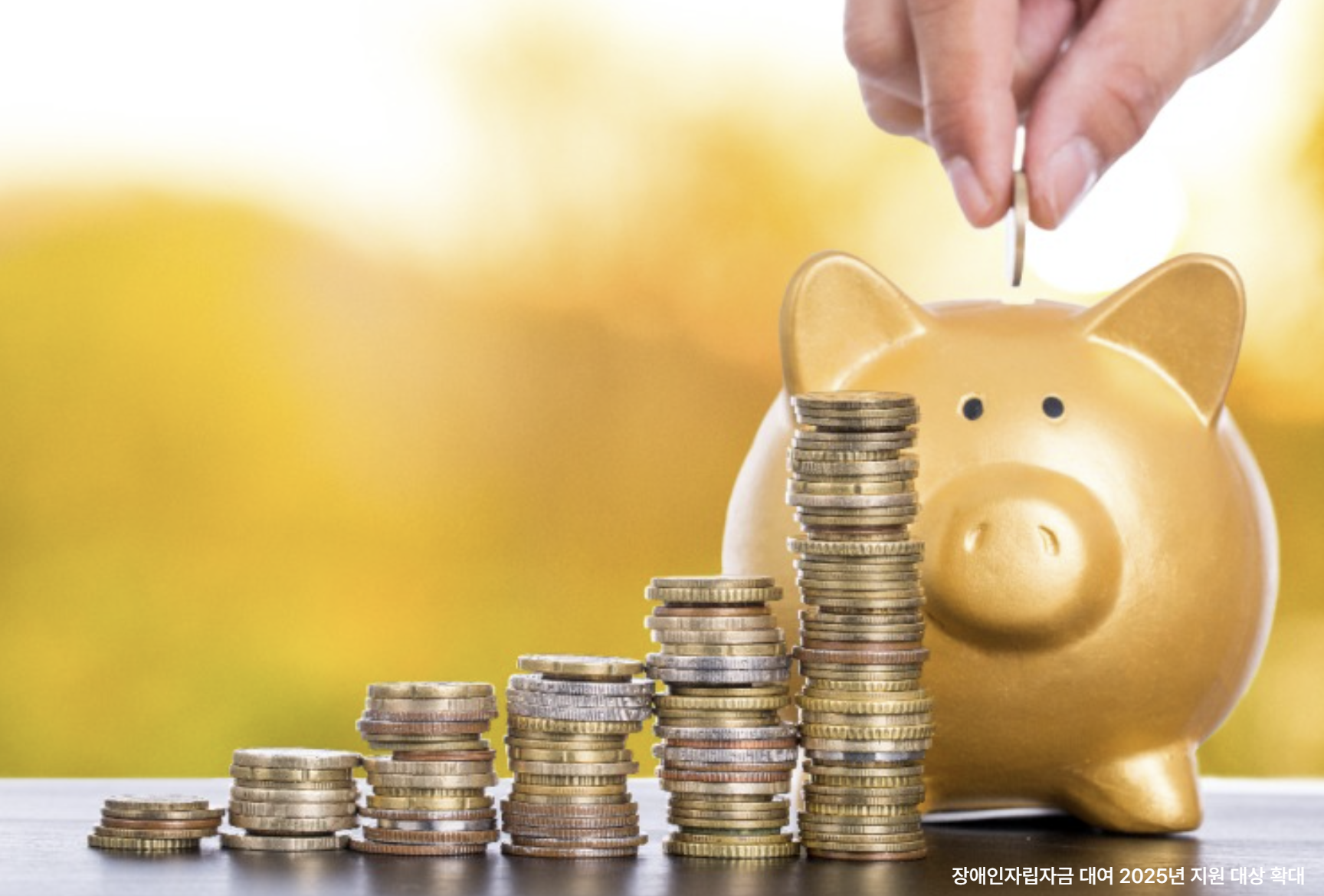 장애인자립자금 대여 2025년 지원 대상 확대 관련 사진