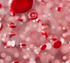 빈혈 증상 원인 치료 방법