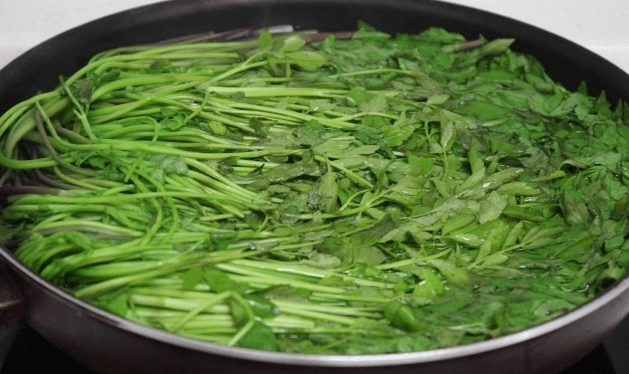 돌마니라 사진 - 13