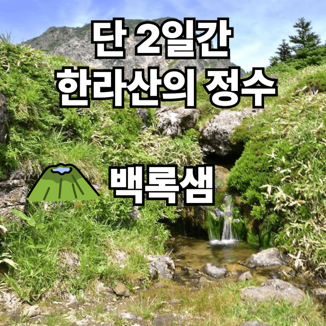 백록샘 사전예약