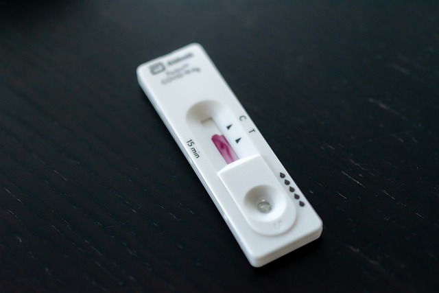 대전광역시 코로나19 신속항원검사 PCR 검사 대전 원스톱 진료 기관 병원 의원1