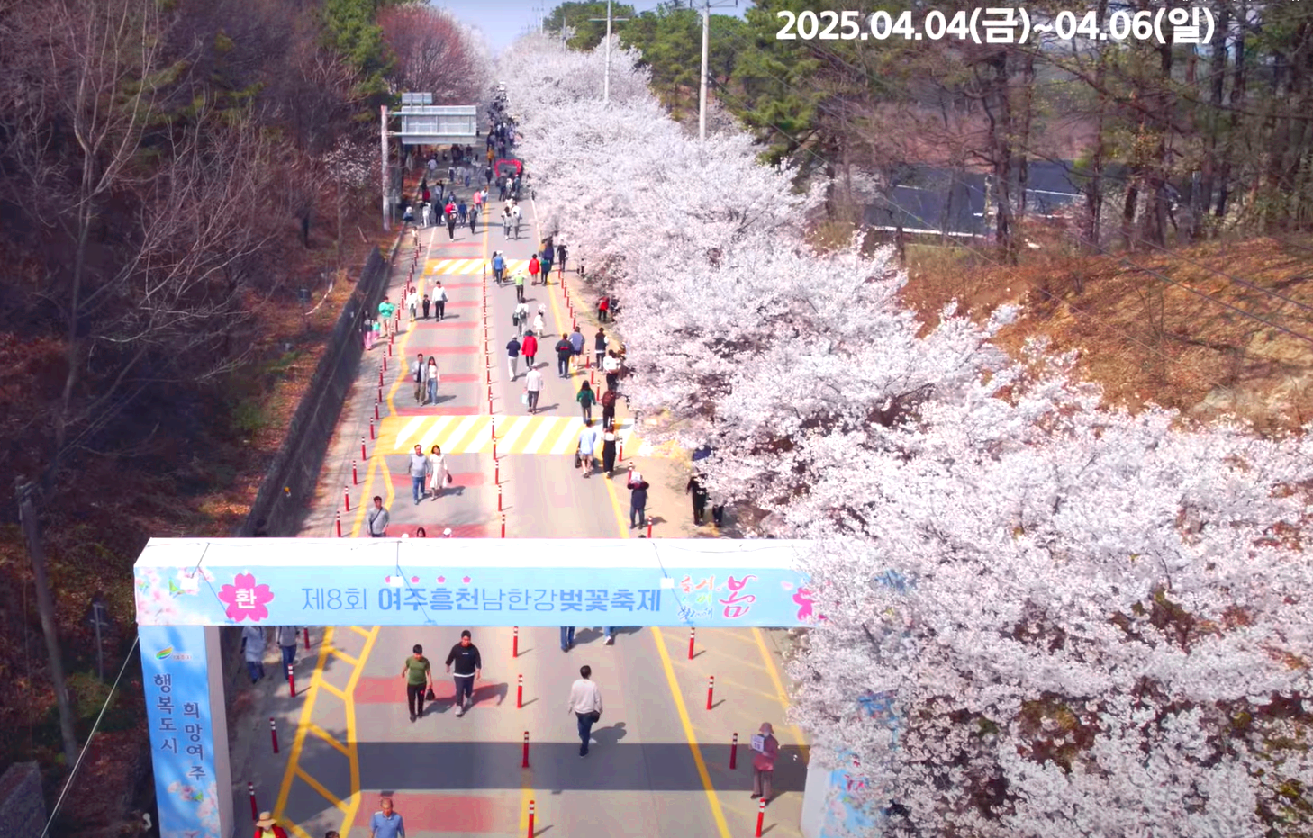 여주 흥천 남한강 벚꽃축제