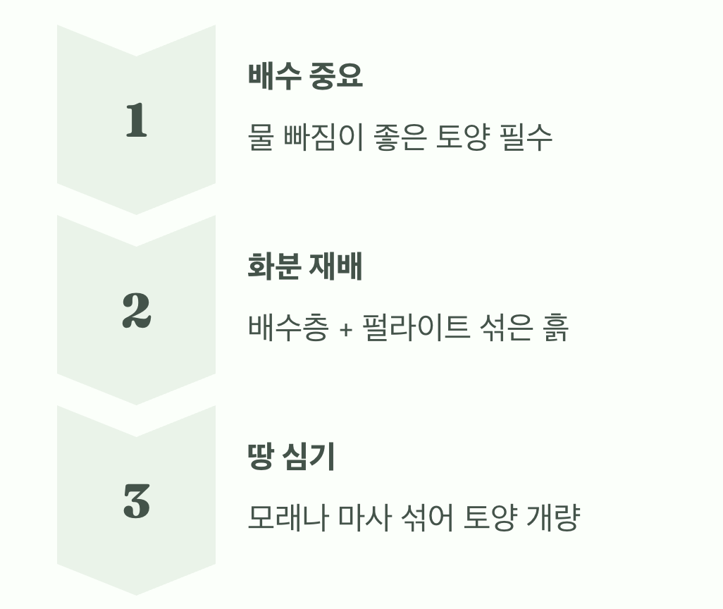 과습은 절대 금물&amp;#44; 뽀송뽀송한 흙
