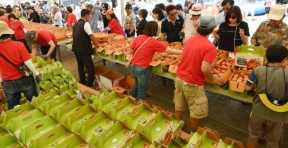 제22회 퇴촌 토마토축제 일정 장소 입장료 할인