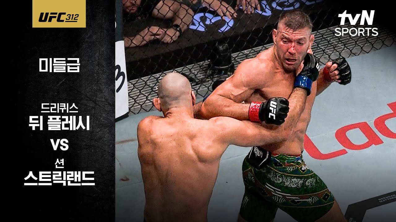 UFC 312 경기 결과