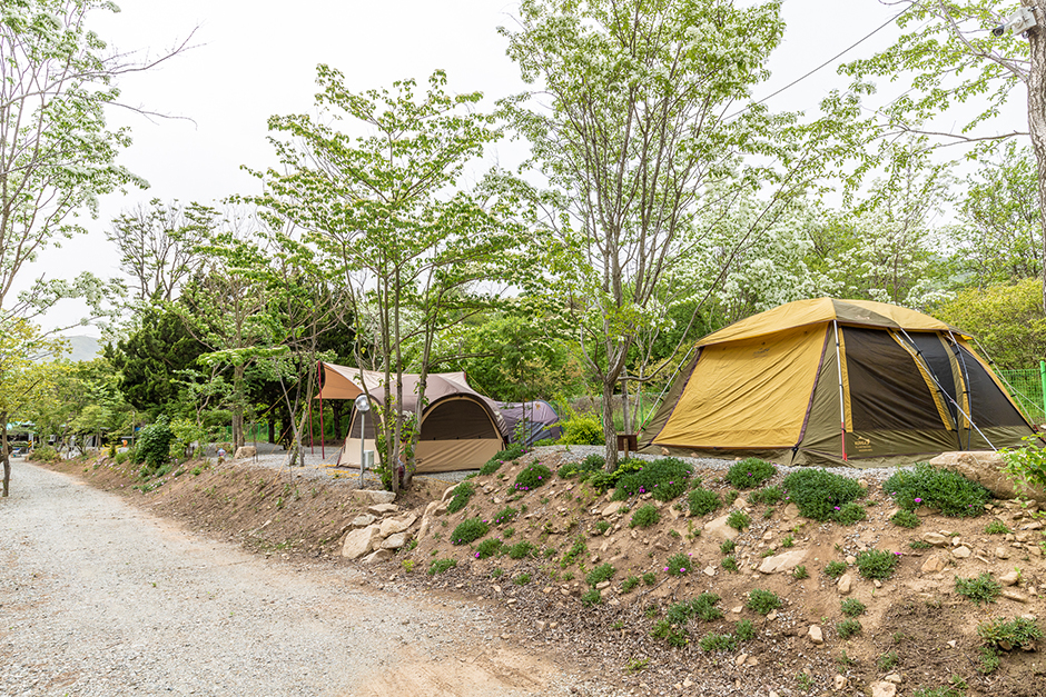 가야산 캠핑장 예약