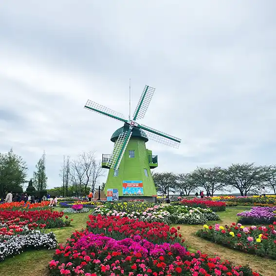 알레르기 결막염 약국 안약