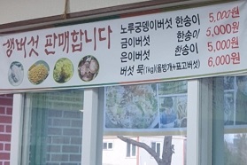 버섯판매