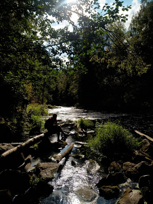 가을 환절기 여행 여행자 보험 보장내용