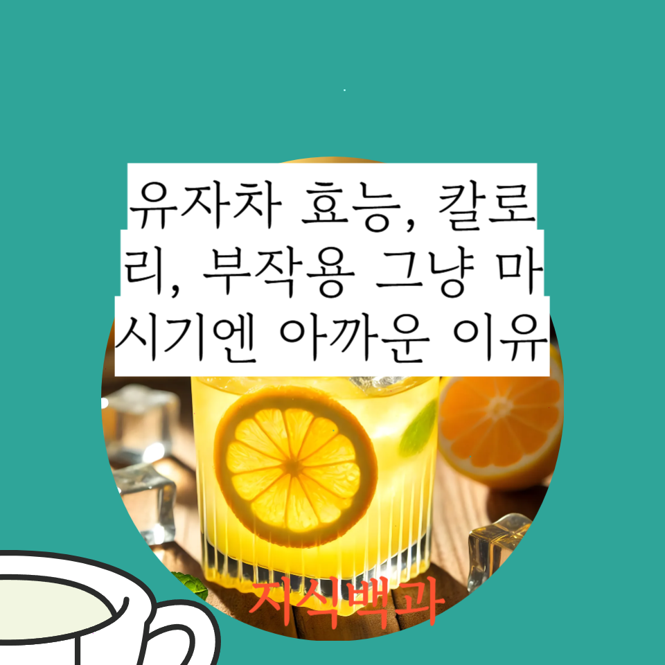 유자차 효능, 칼로리, 부작용 그냥 마시기엔 아까운 이유
