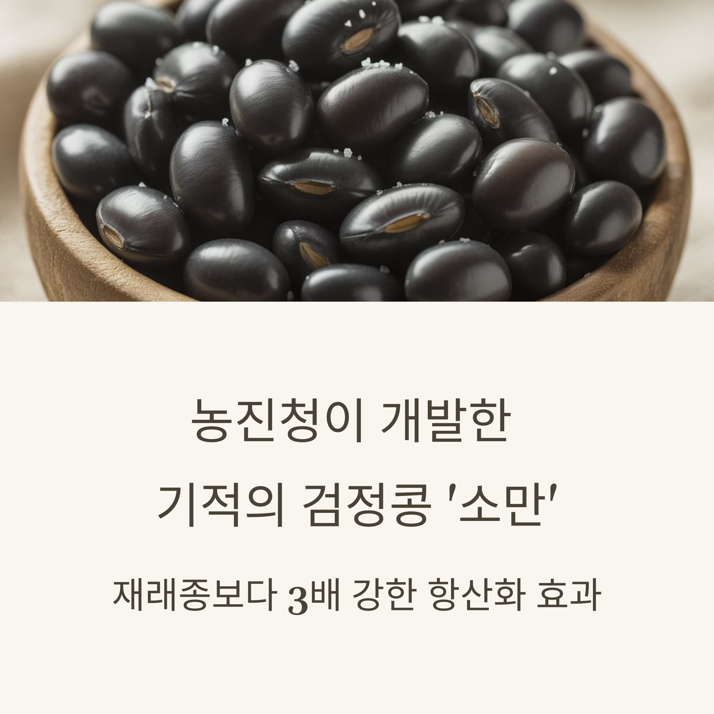 항산화 최고 효능 검정콩 개발