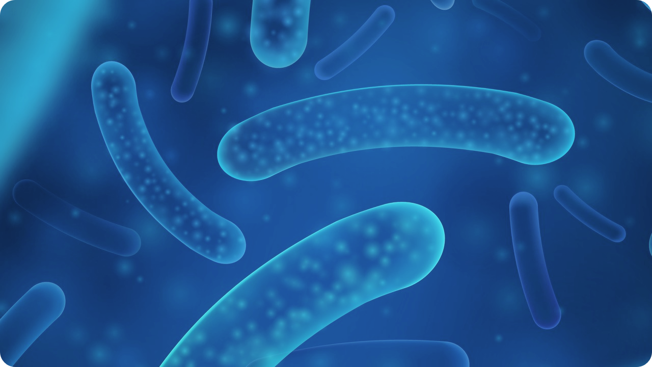 유산균과-유산균-먹는시간