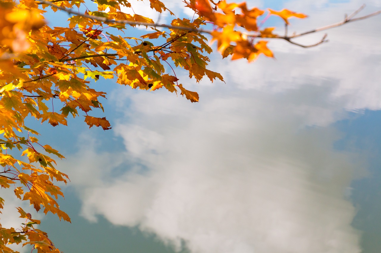 침묵 속 심리적 대화가 삶의 선택을 바꾸는 이유
