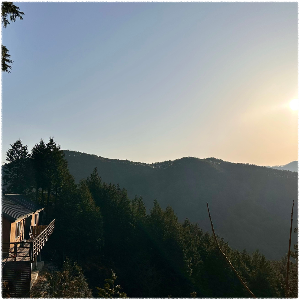 하동편백자연휴양림