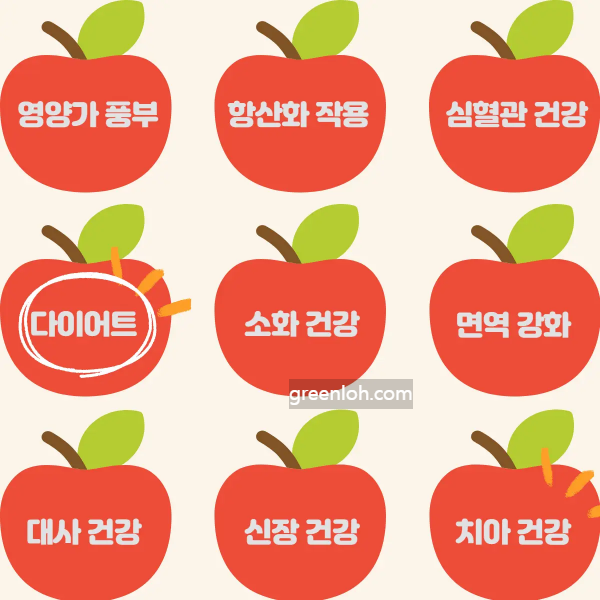 사과 효능