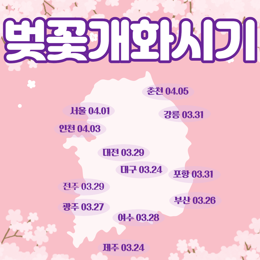 벚꽃개화시기