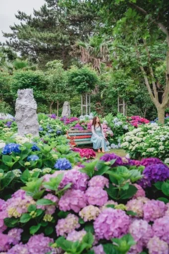 제주 여름 축제 일정표 불꽃놀이 포함 행사 소개_13
