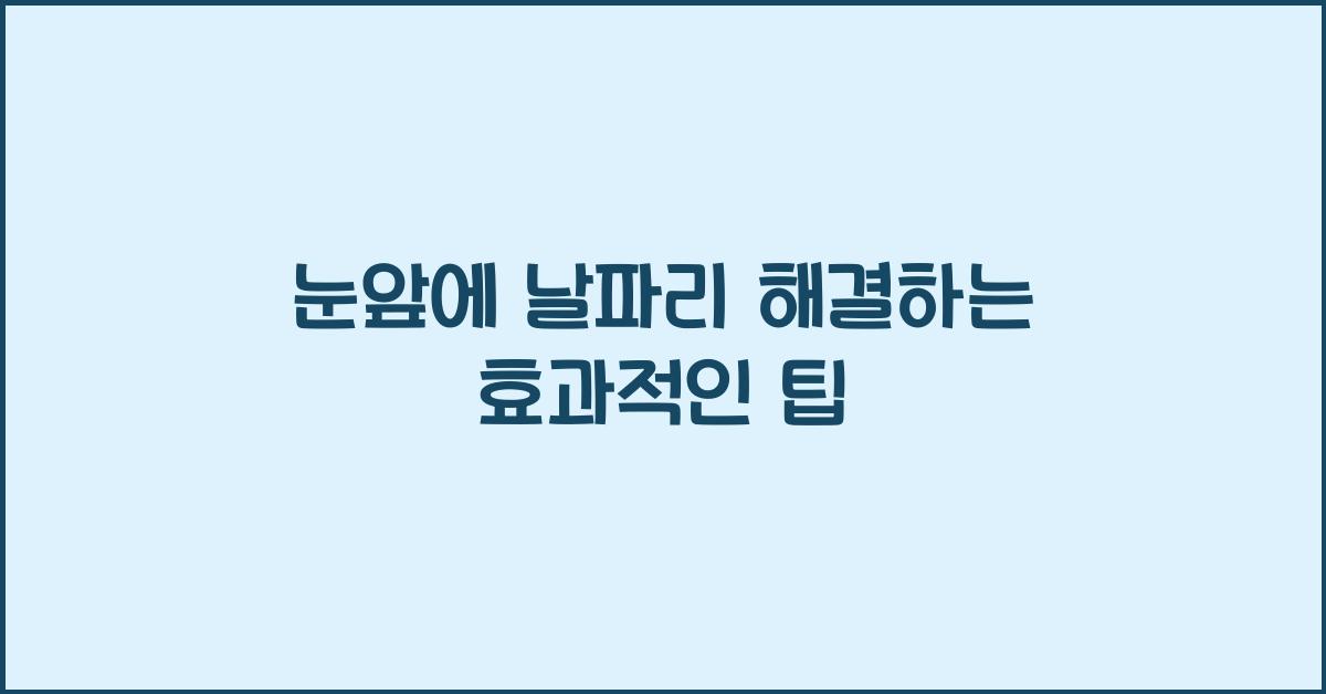 눈앞에 날파리