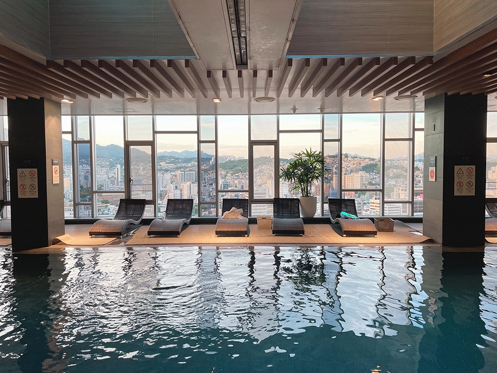 노보텔 앰배서더 동대문 서울 실내 수영장