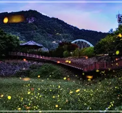2025-무주반딧불축제-초대가수-일정-프로그램