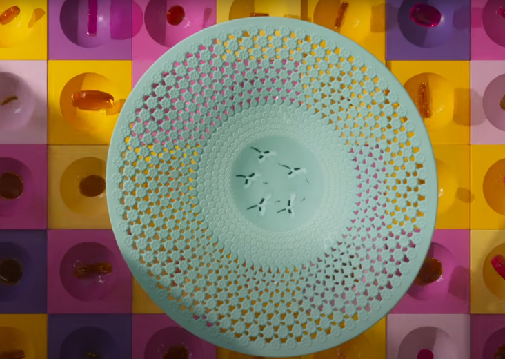 2025 이천 도자기 축제 열리는 곳 축제 기간 체험 공연