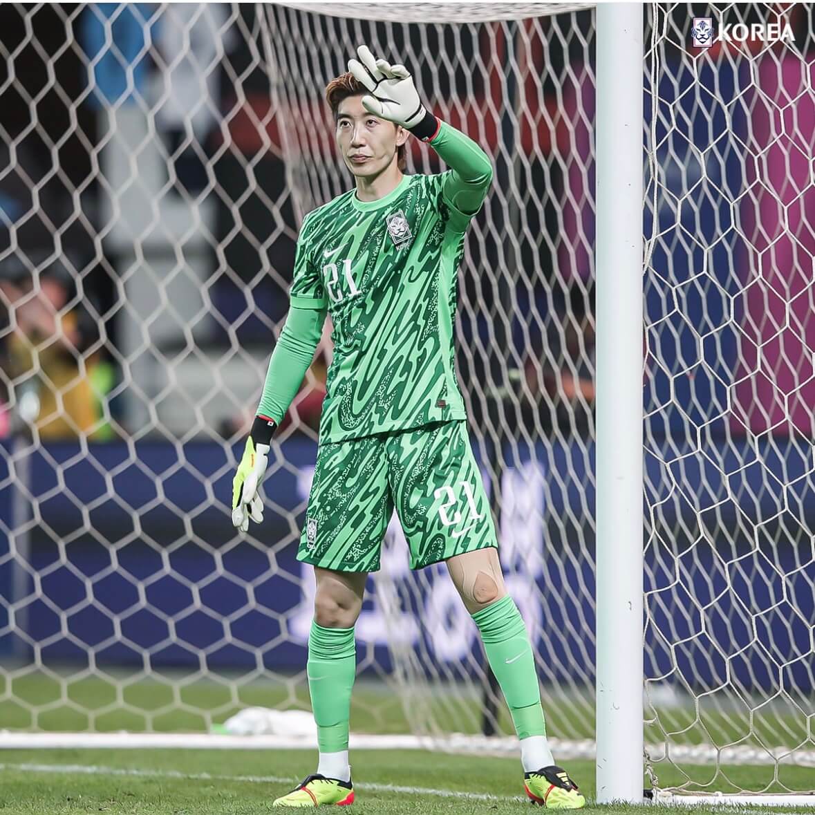 한국 팔레스타인 중계