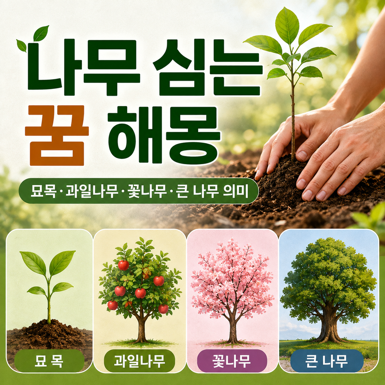 나무 심는 꿈