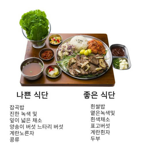 식단