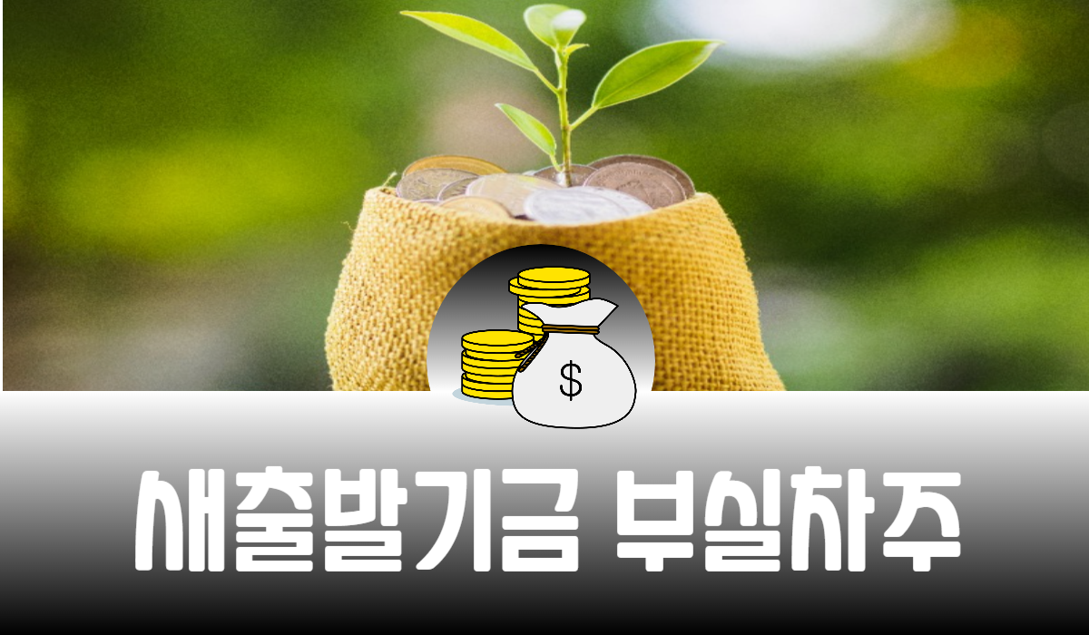 새출발기금 부실차주