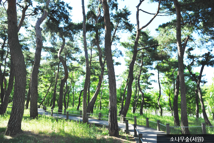 한밭수목원 명소 10선5