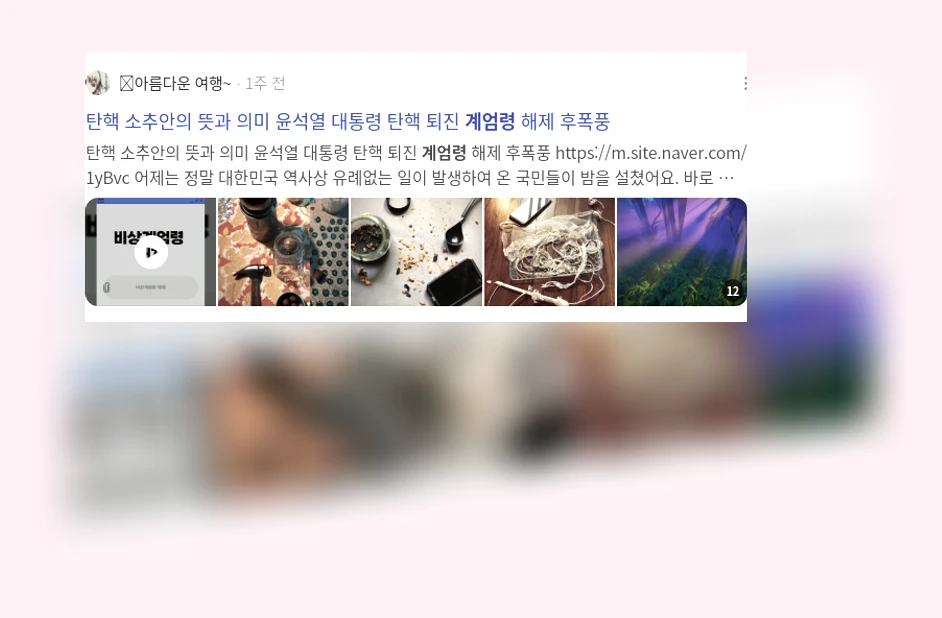 계엄령_2_subsection