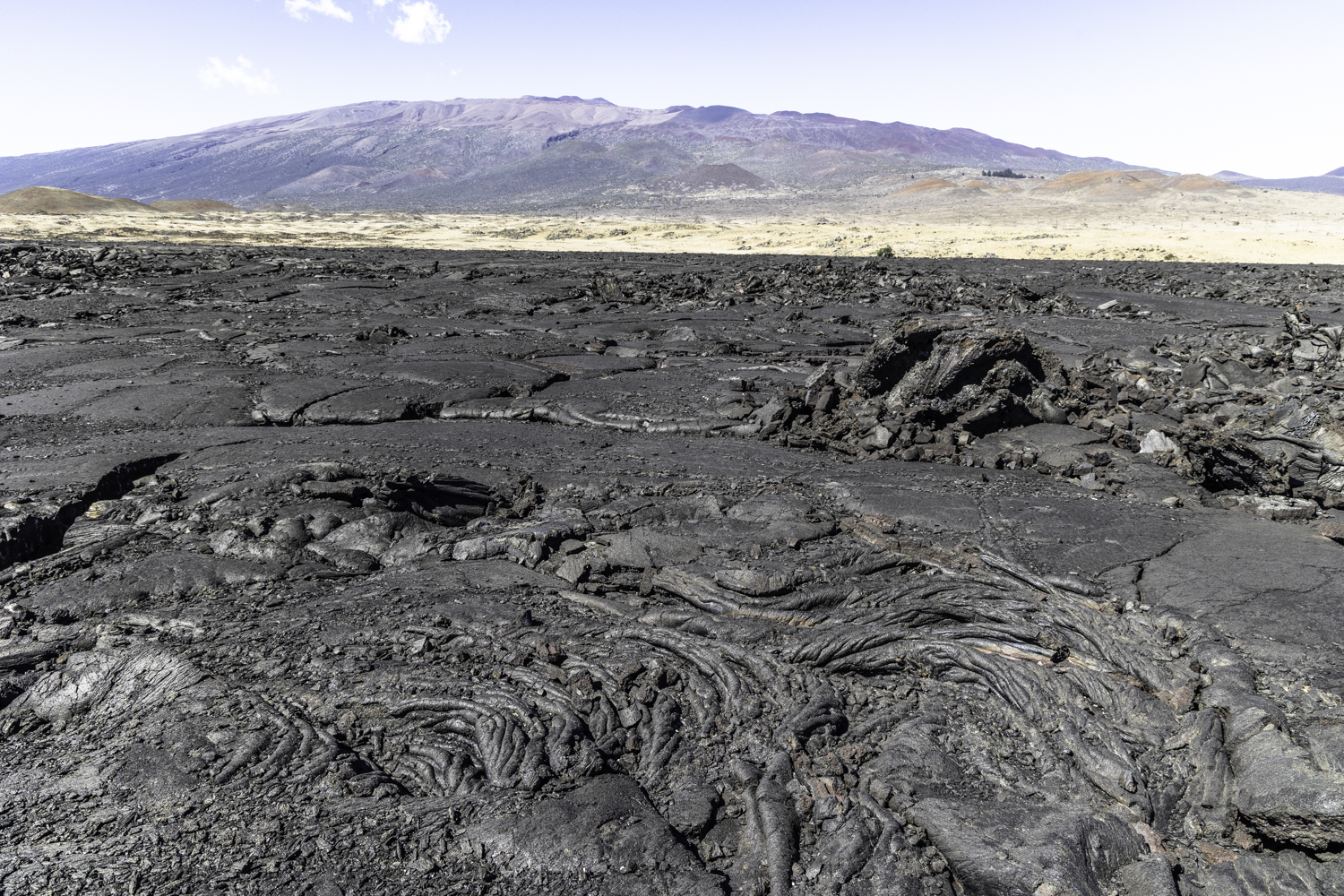 빅아일랜드 용암 화산석