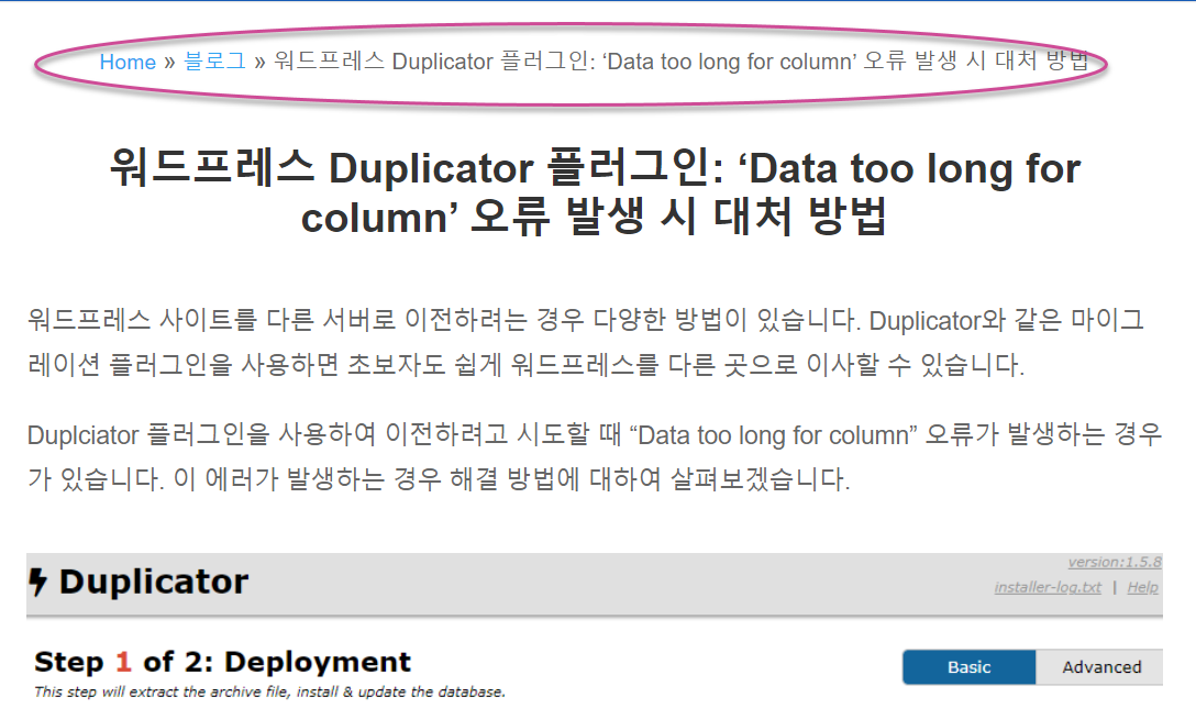 워드프레스 Yoast SEO 브레드크럼에서 카테고리가 잘못 표시되는 문제
