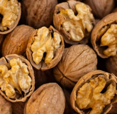 치매 예방 음식 좋은 식품